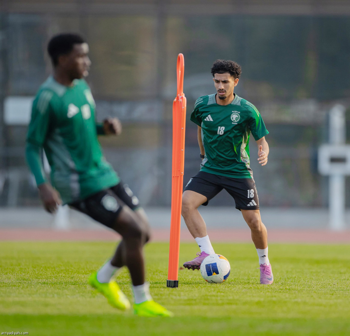 تحضيرات الصقور