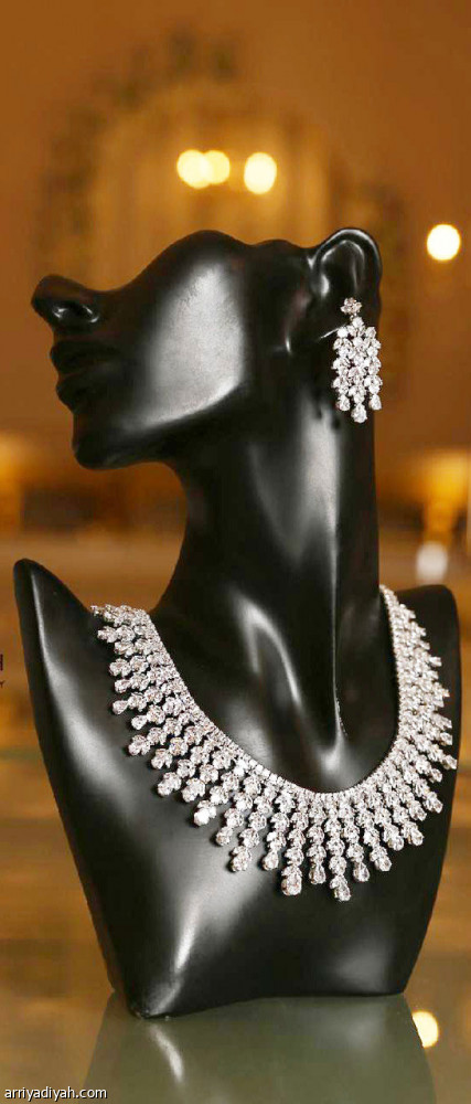 فرحة الأخت 
تطلق مشروع شادية