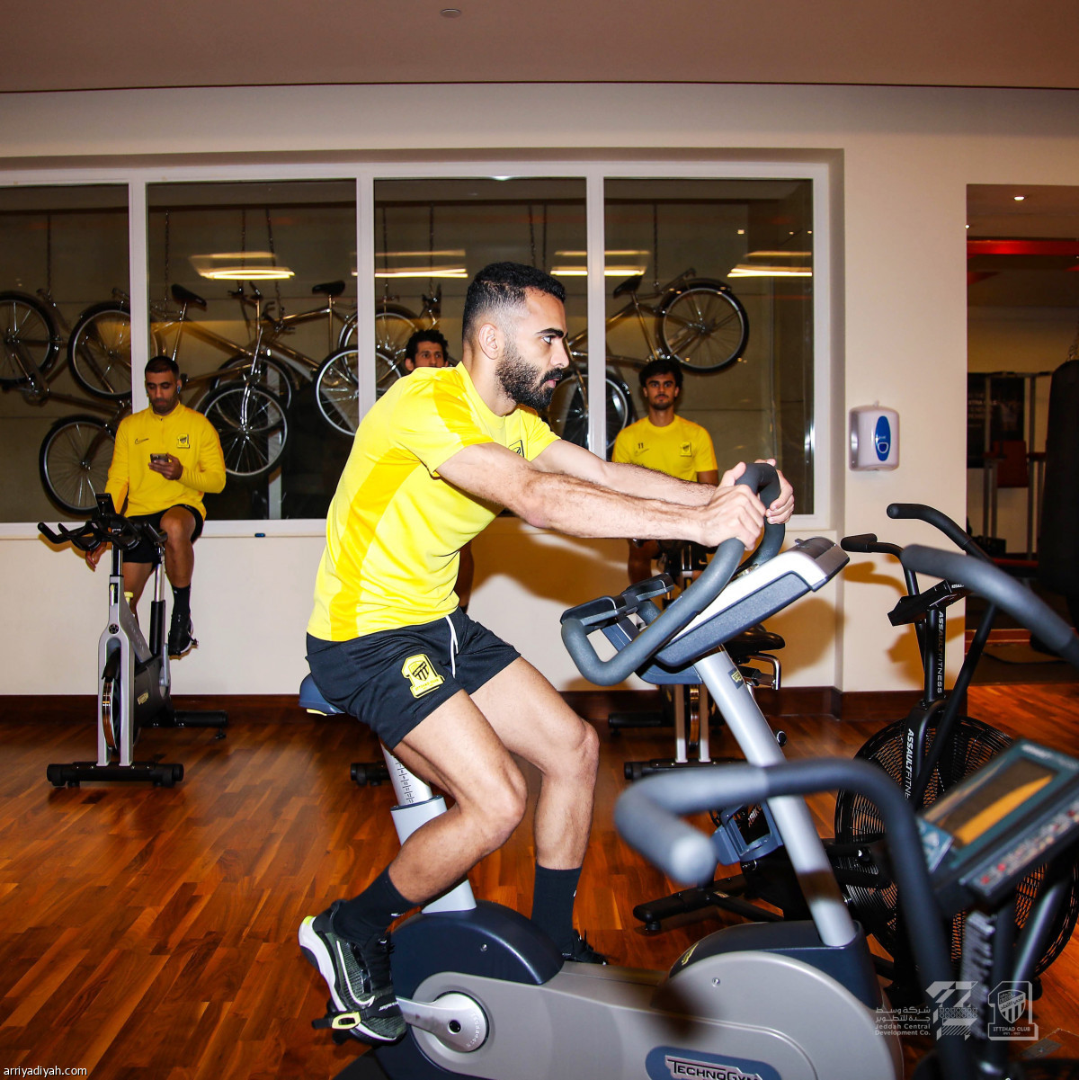 النمور تبدأ