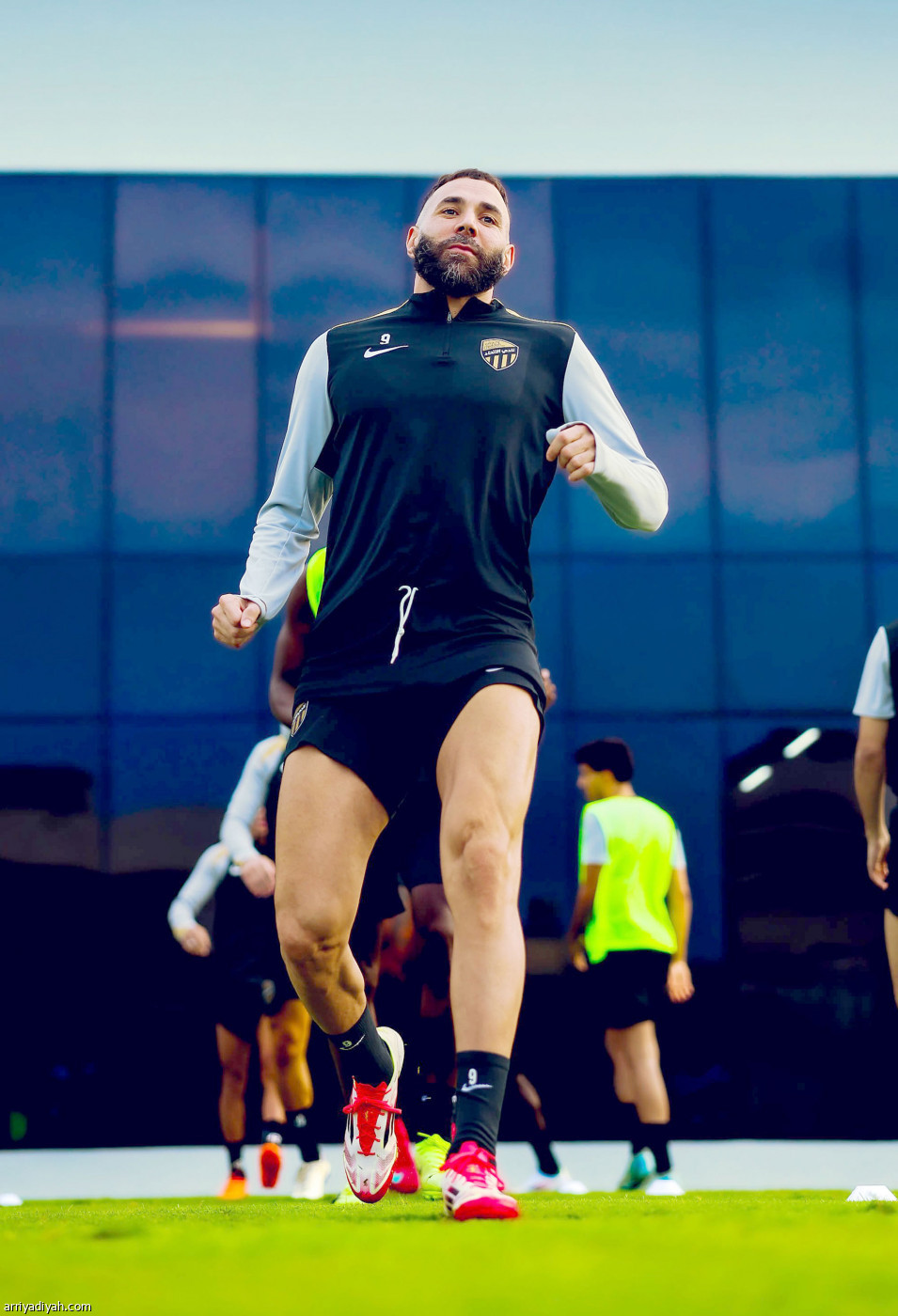 «النمور» جاهزون