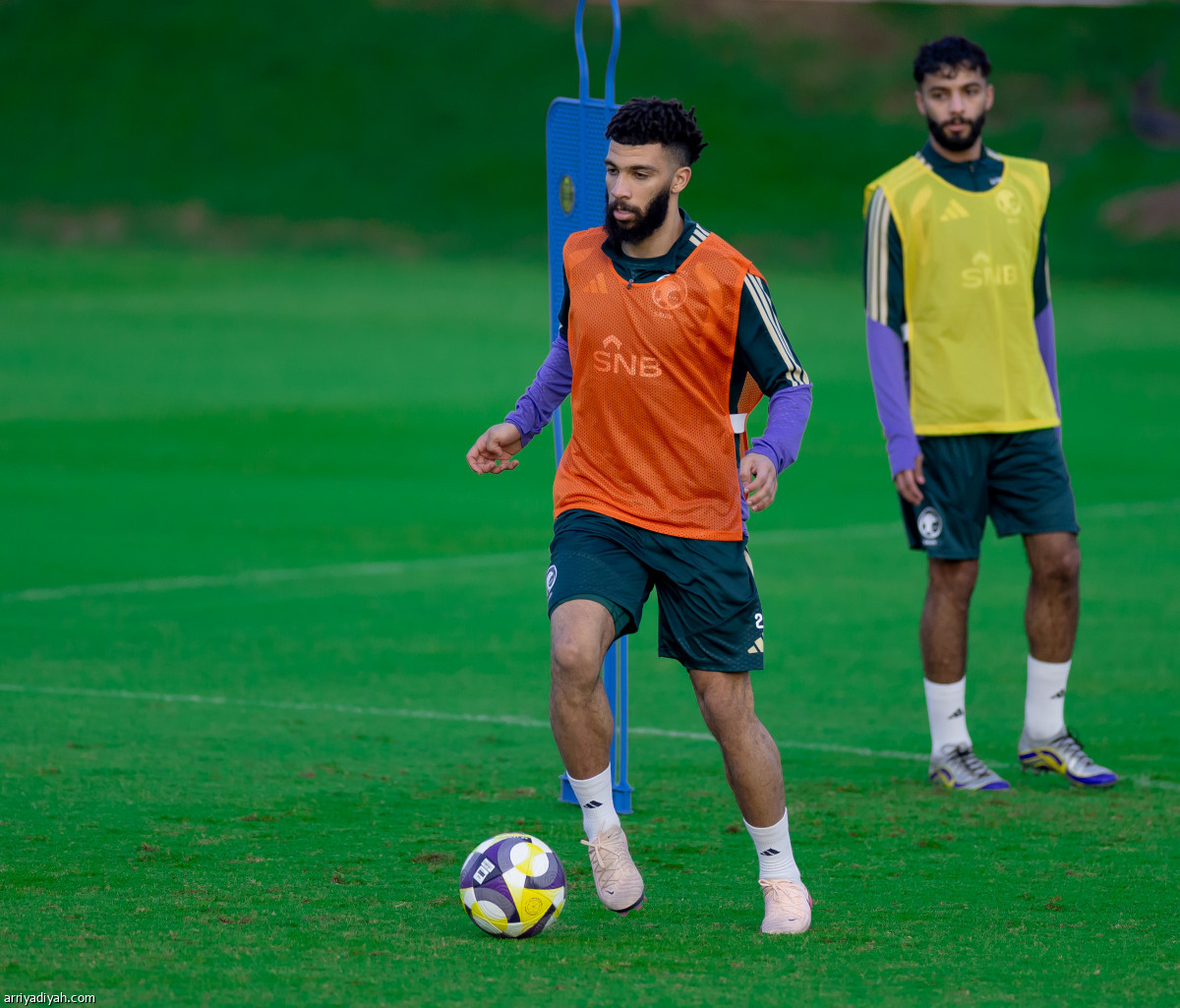 الأخضر يعود