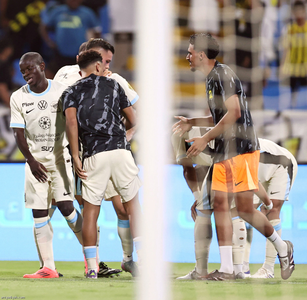 فرحة «النمور»